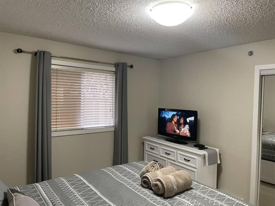 Chris Cozy Commonwealth #107 Apartment *